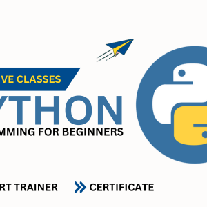Python for Beginners